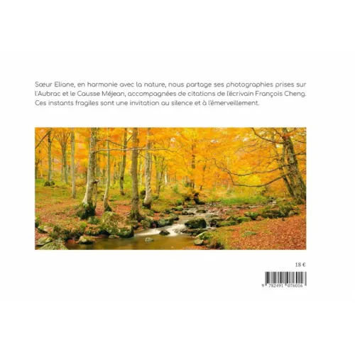 copy of Aubrac, le temps d'un hiver